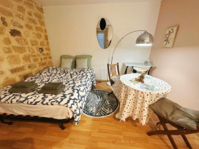 Charming Studio Gare de Lyon